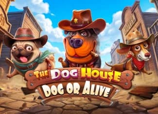 The Dog House – Dog or Alive